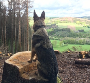 Mein Sauerland